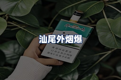 汕尾外烟爆